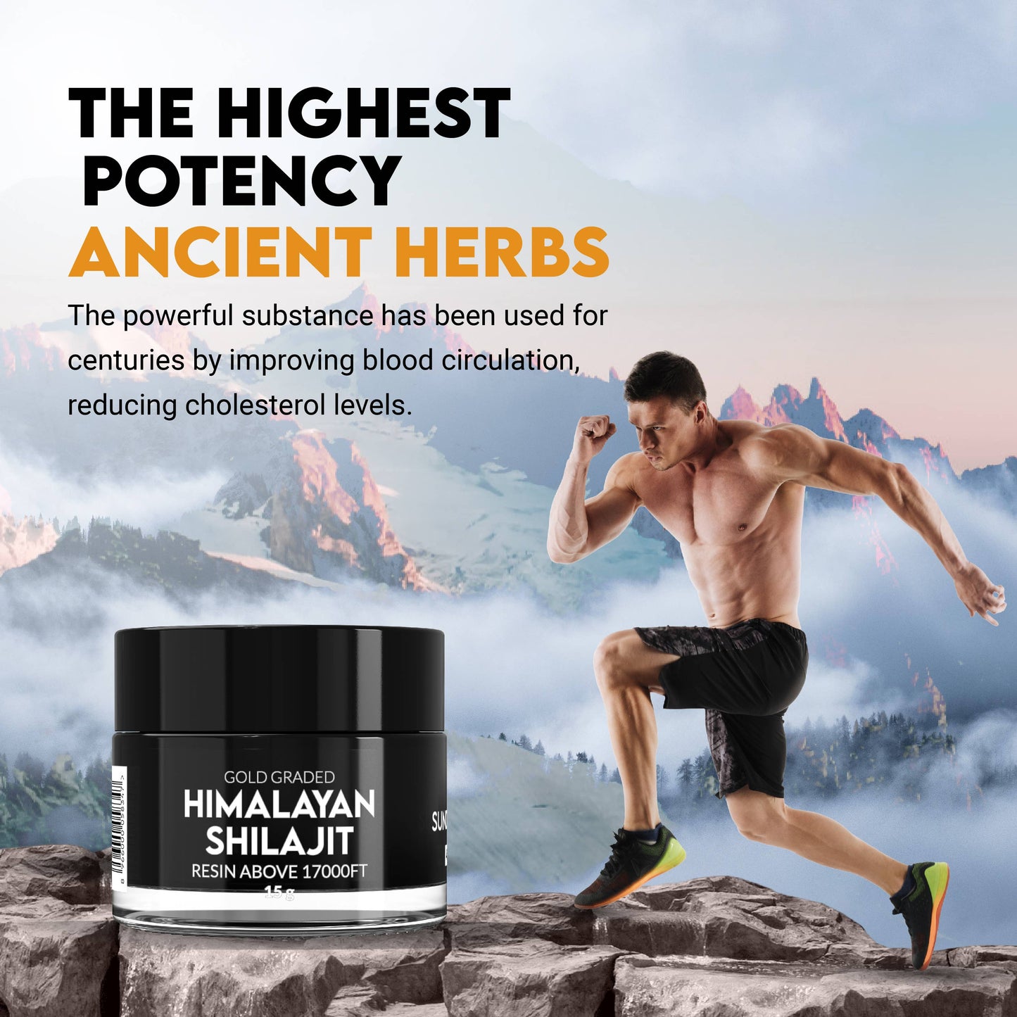Pak Shilajit Organic Sundried Himalayan Shilajit Resin 15G