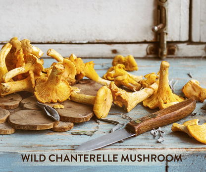 Go Sharp - mushroom coffe with Chanterelle and Lion's mane